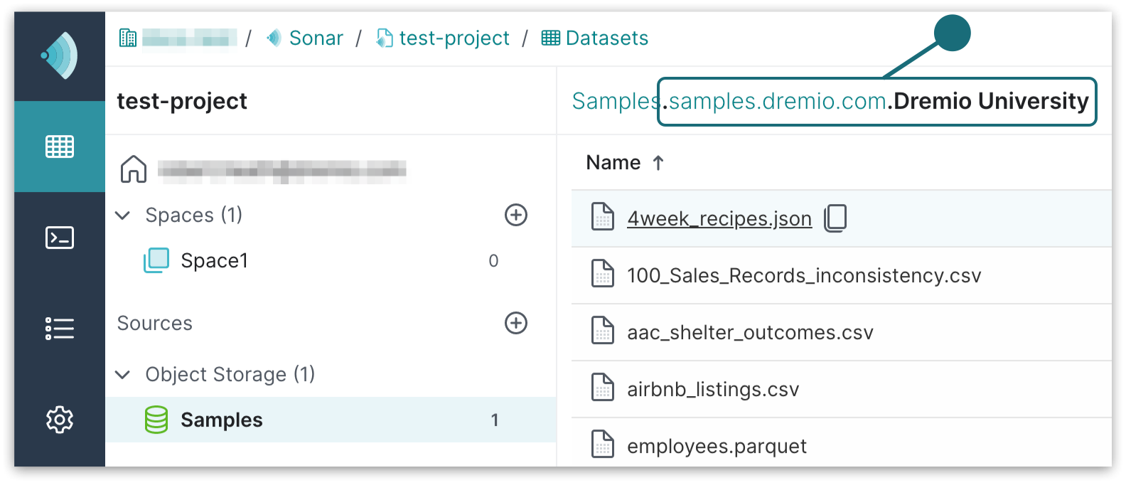 dbt samples path